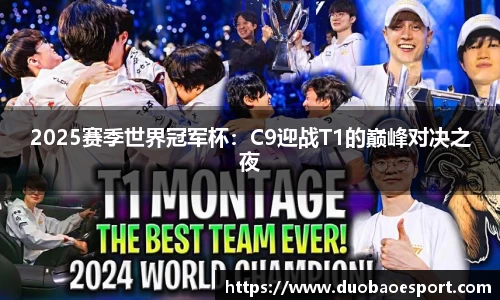 DB电竞官方正版网站